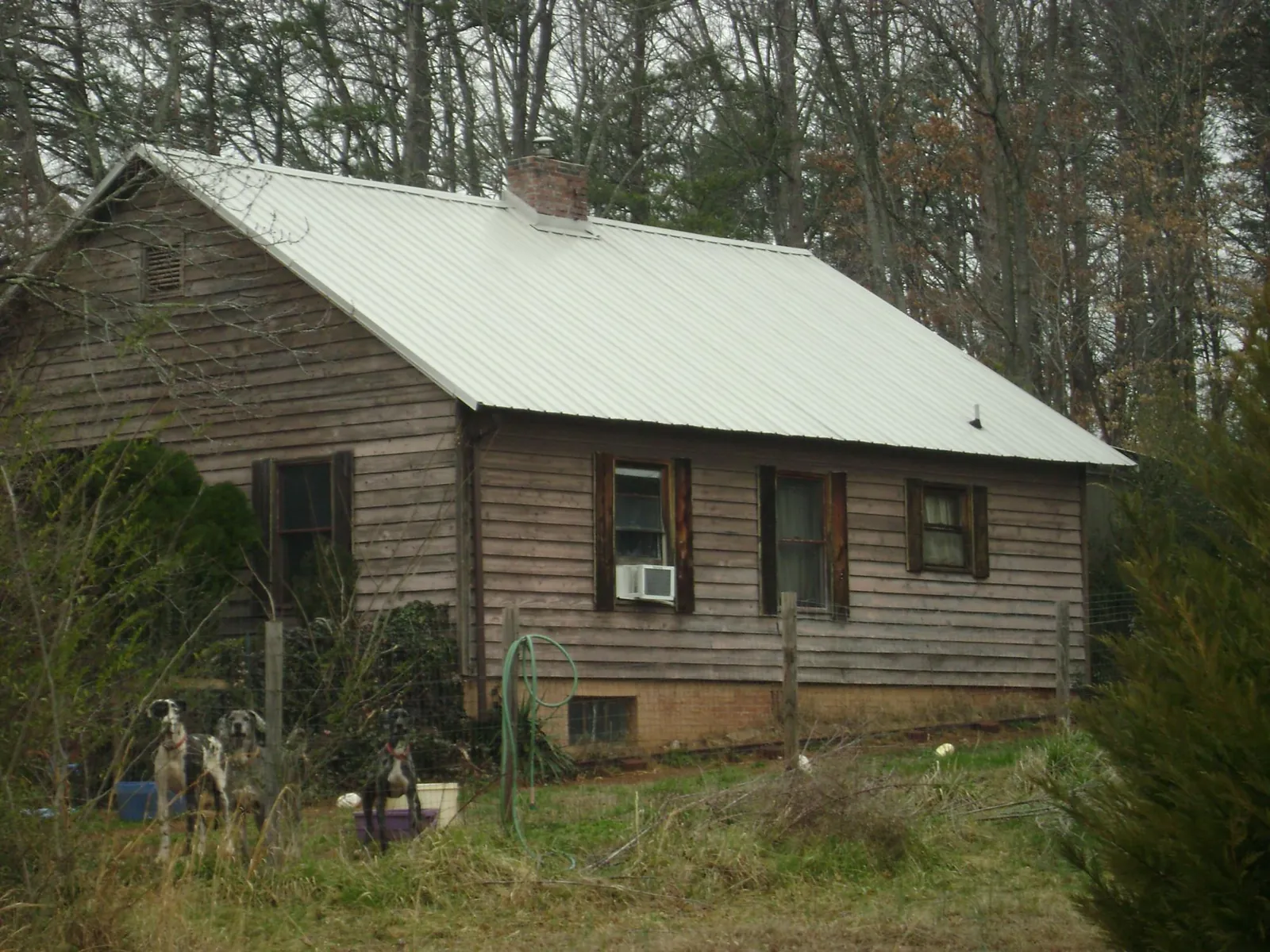 White metal roof on an old wood sided farmhouse, from a Asphalt Shingle Roof Repair job in Silverdale